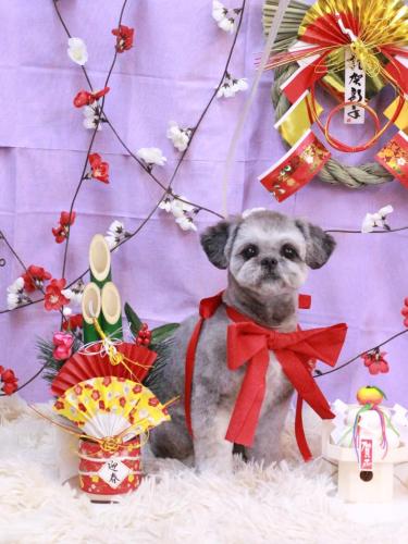 20230114パンくん